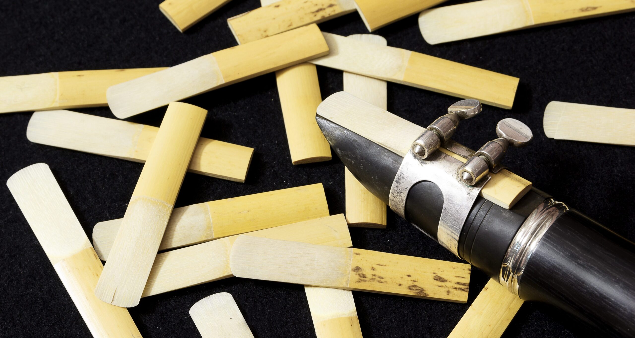 Best Reeds for Beginning Saxophonist: A Complete Guide. - Alex Attard Music